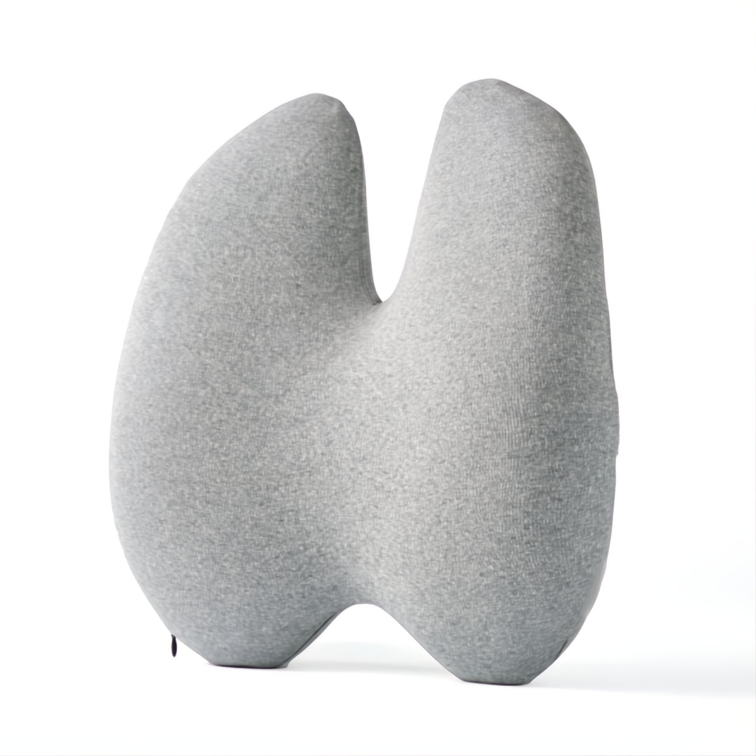 Lumbar Support Cushion